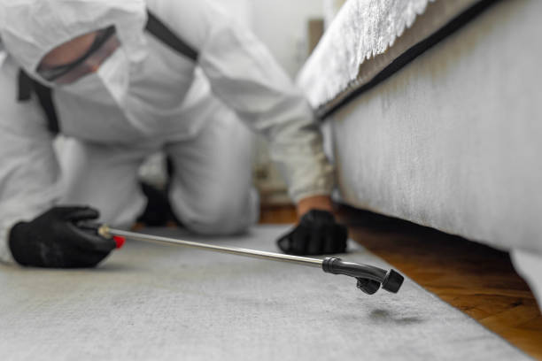 Professional Cockroach Control technician working in Johnston County County, NC